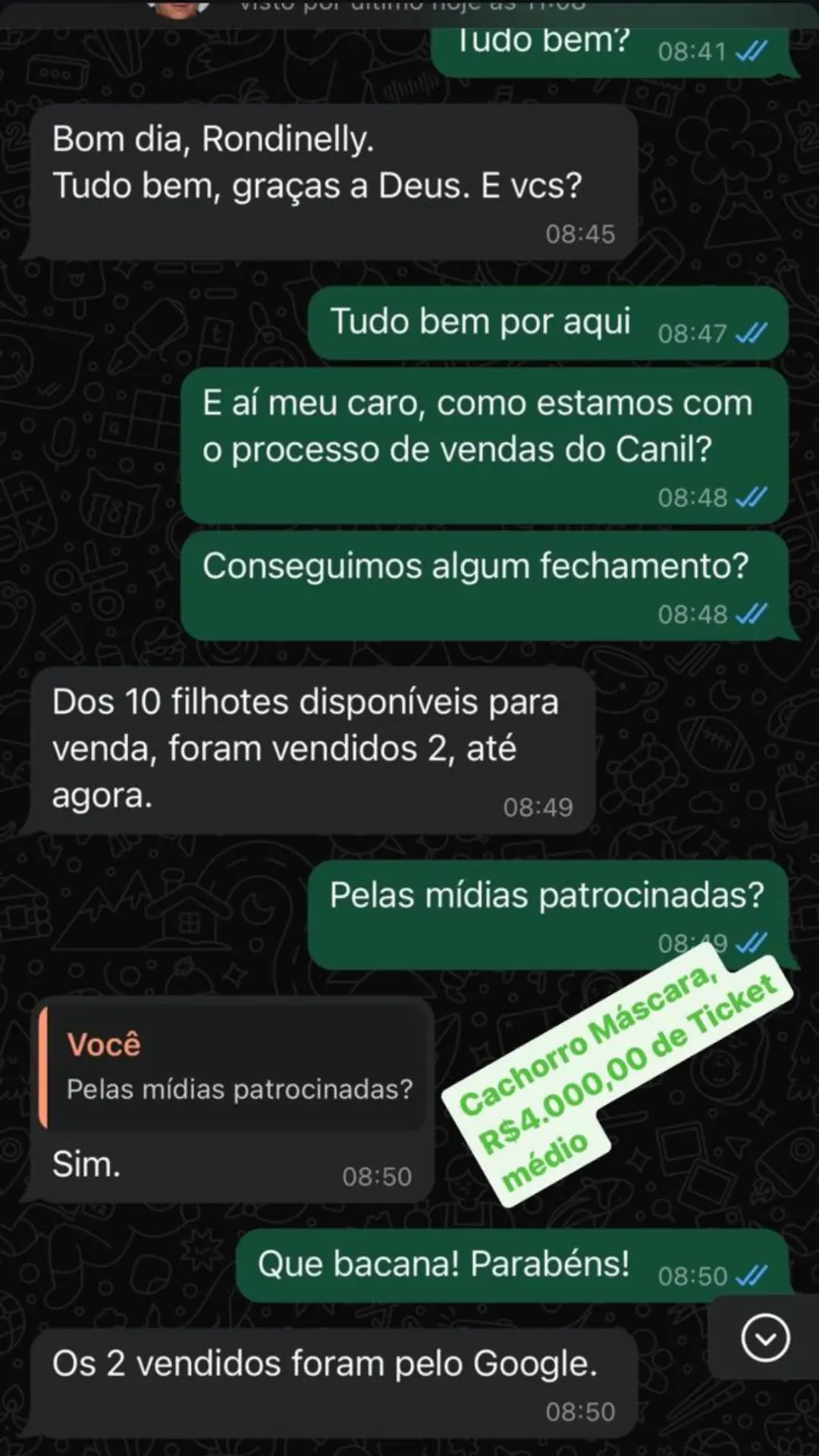 Imagem 2